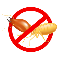 Termite Control Services