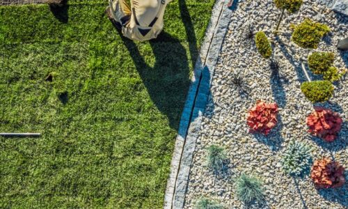 Why Hotels Need Landscaping Services in Dubai? (4 Interesting Reasons)