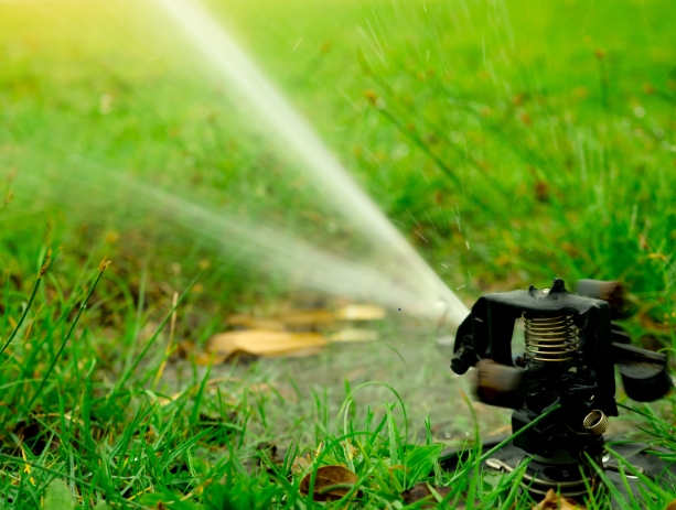 landscaping and irrigation services in dubai