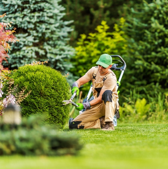 landscaping and irrigation services